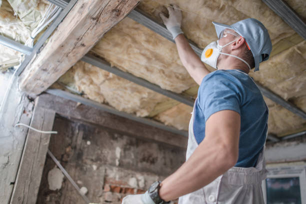 Best Insulation Repair Services  in Westworth Village, TX