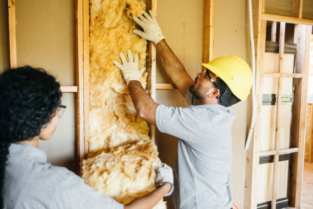 Best Residential Insulation Services  in Westworth Village, TX