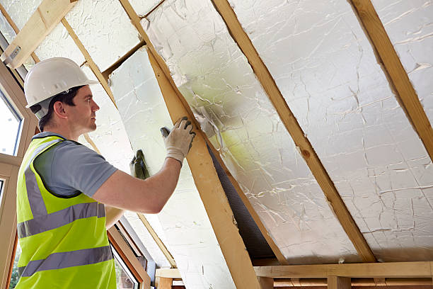 Best Professional Insulation Contractor  in Westworth Village, TX
