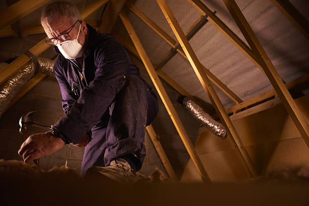 Best Attic Insulation Installation  in Westworth Village, TX